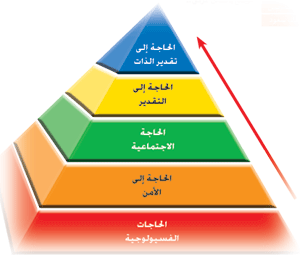 العالم النفسي ماسلو وتطوير الذات -كورسات برمجة وقواعد البيانات