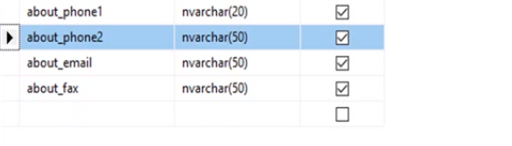  افضل نوع حقل داتابيز للبيانات Sql server table phone fax email